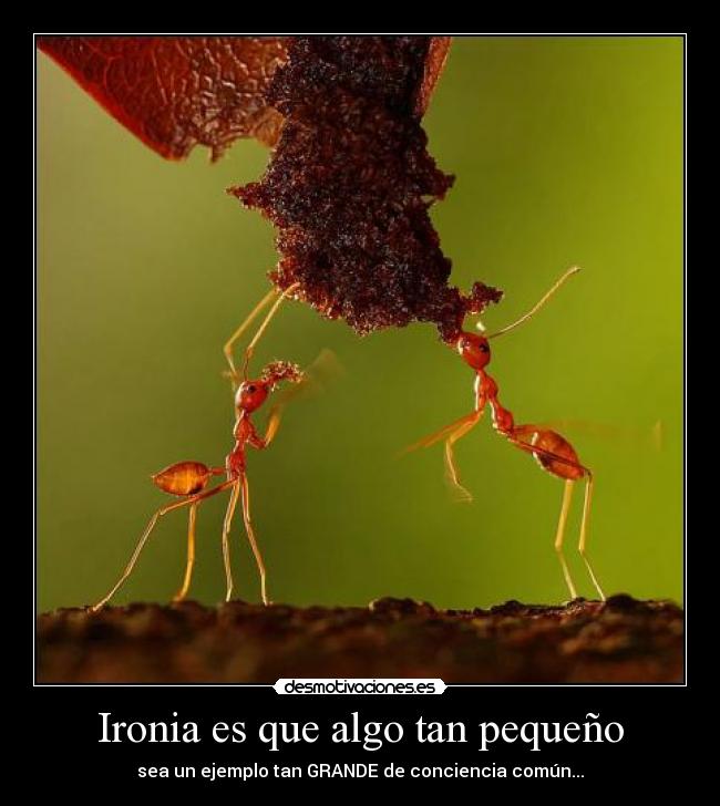 Ironia es que algo tan pequeño - sea un ejemplo tan GRANDE de conciencia común...