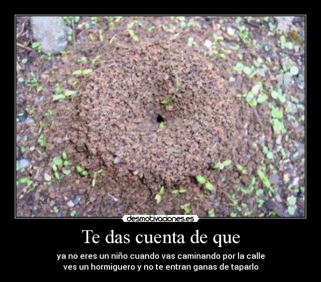 Te das cuenta de que -