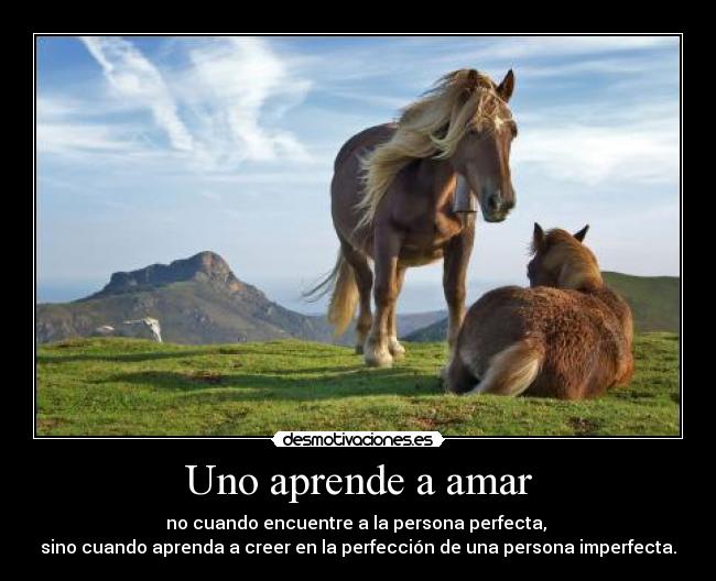 Uno aprende a amar - 