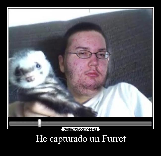 He capturado un Furret - 