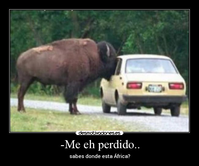 -Me eh perdido.. - sabes donde esta África?