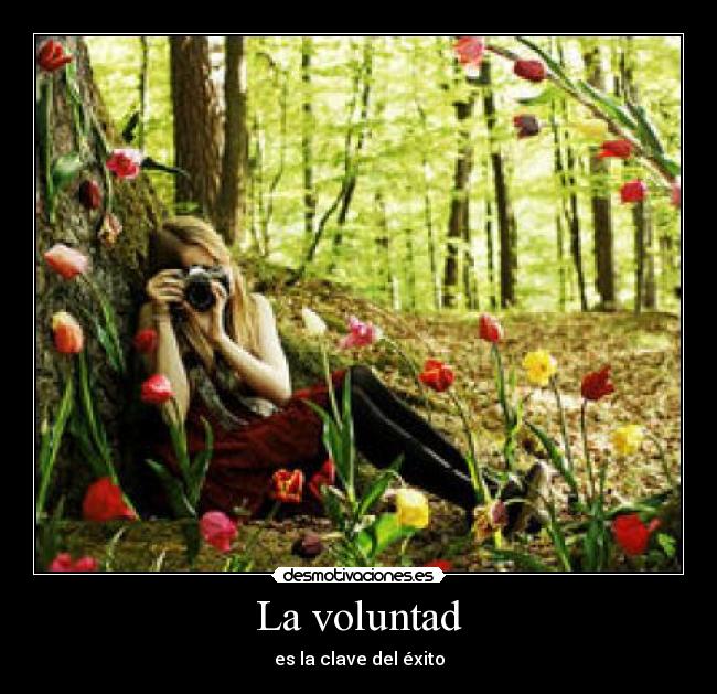 La voluntad - es la clave del éxito