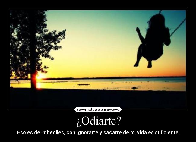 ¿Odiarte? - Eso es de imbéciles, con ignorarte y sacarte de mi vida es suficiente.