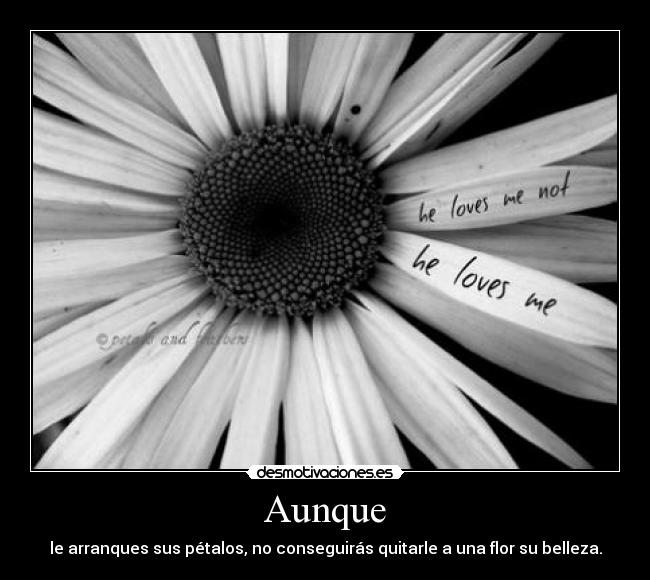 Aunque - le arranques sus pétalos, no conseguirás quitarle a una flor su belleza.