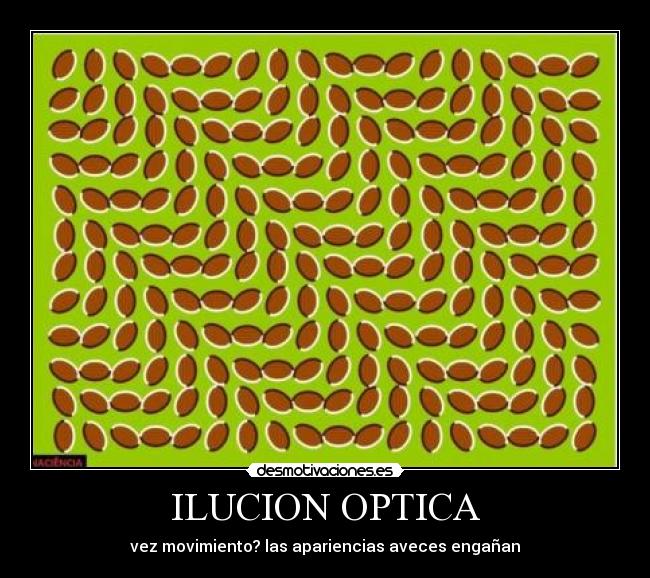 ILUCION OPTICA -