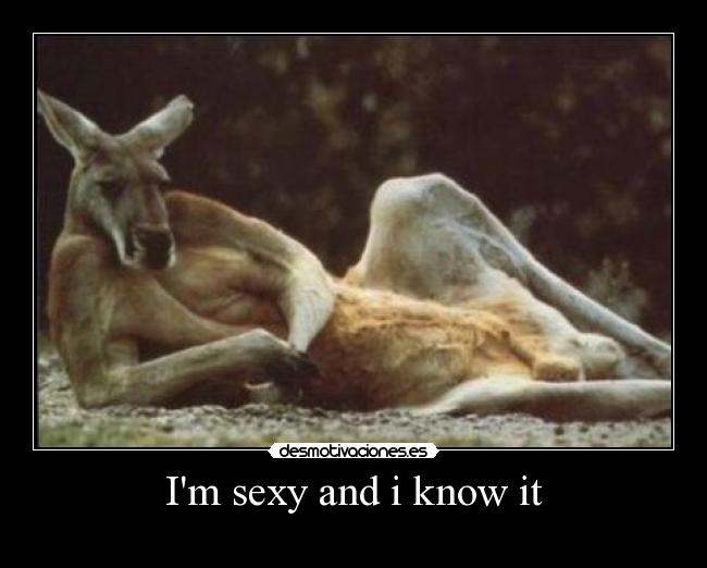 Im sexy and i know it -