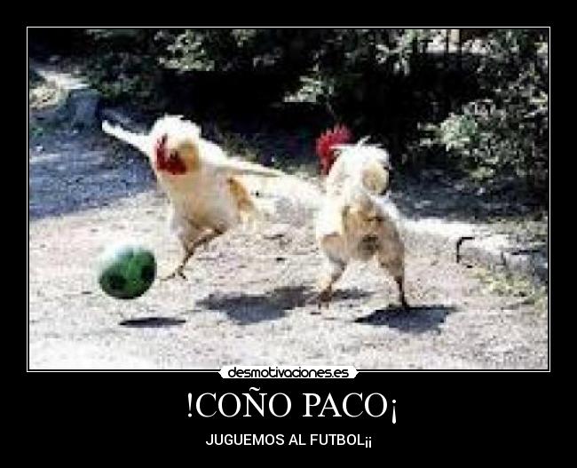!COÑO PACO¡ -
