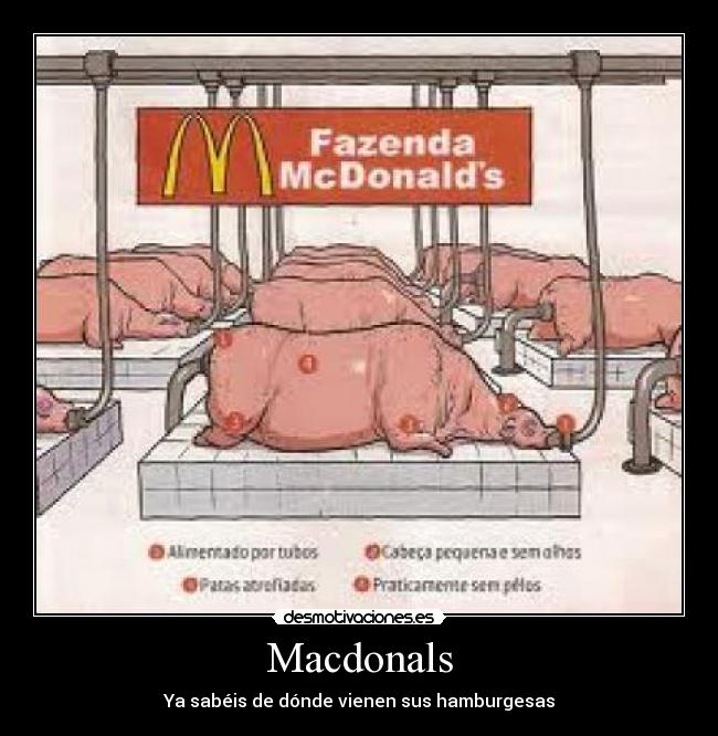 Macdonals - Ya sabéis de dónde vienen sus hamburgesas