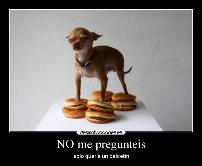 NO me pregunteis - solo quería un calcetín