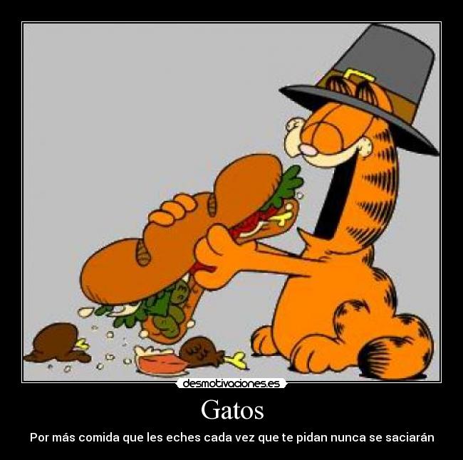 carteles gatos gatos comida pedir nunca saciar garfield desmotivaciones