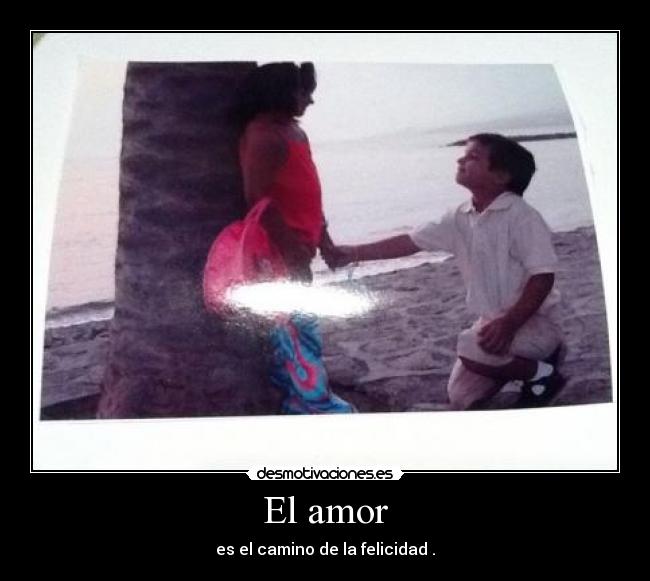 El amor - es el camino de la felicidad .