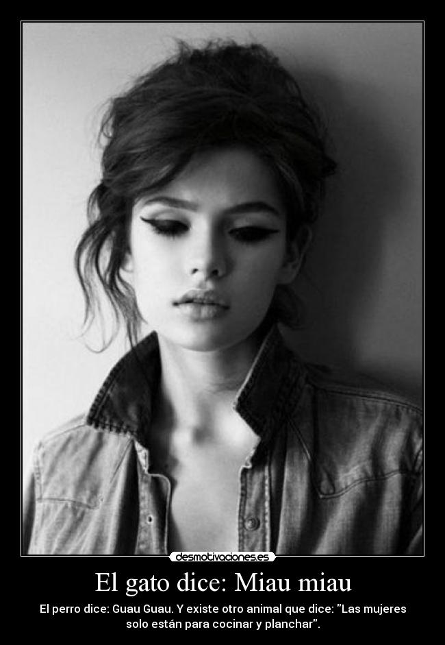 El gato dice: Miau miau - 