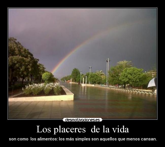 carteles vida placeres desmotivaciones