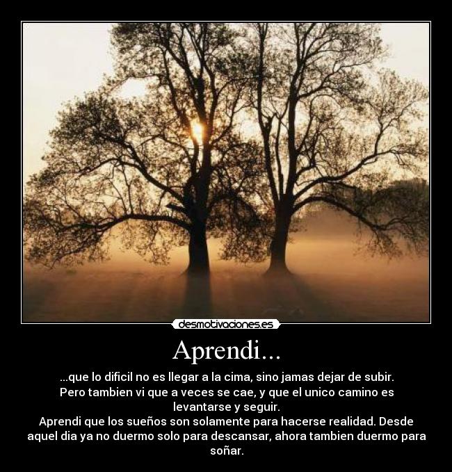 Aprendi... - ...que lo dificil no es llegar a la cima, sino jamas dejar de subir.
Pero tambien vi que a veces se cae, y que el unico camino es
levantarse y seguir.
Aprendi que los sueños son solamente para hacerse realidad. Desde
aquel dia ya no duermo solo para descansar, ahora tambien duermo para
soñar.