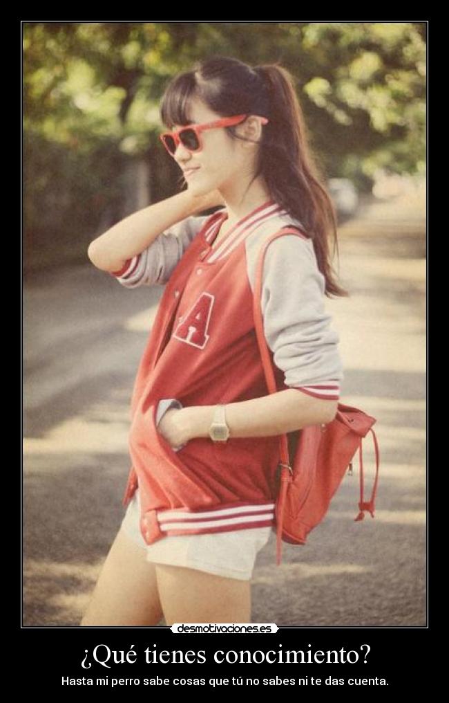 ¿Qué tienes conocimiento? -