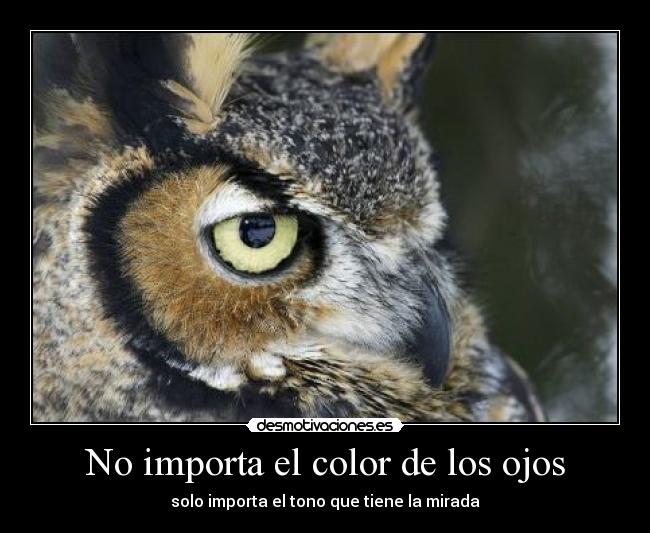 No importa el color de los ojos -
