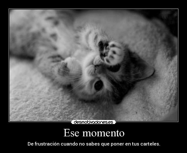 carteles asi desmotivaciones