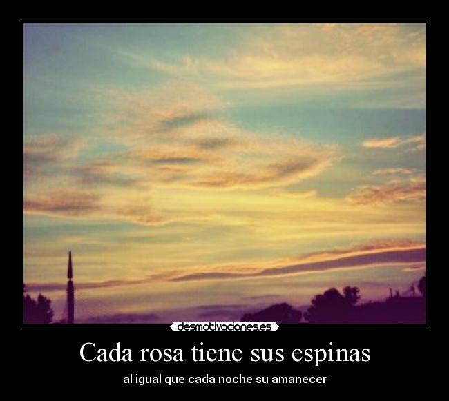 Cada rosa tiene sus espinas - al igual que cada noche su amanecer