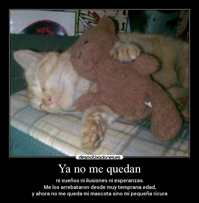 Ya no me quedan - ni sueños ni ilusiones ni esperanzas.
Me los arrebataron desde muy temprana edad,
y ahora no me queda mi mascota sino mi pequeña ricura