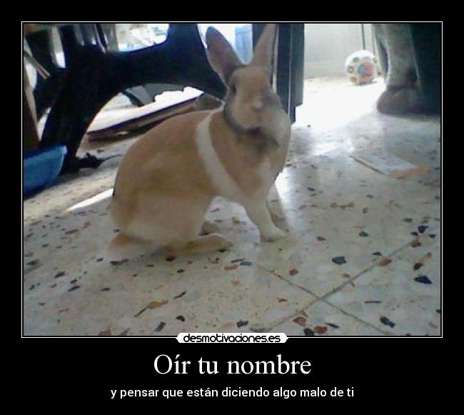 Oír tu nombre - 
