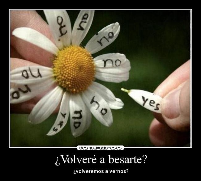 ¿Volveré a besarte? -