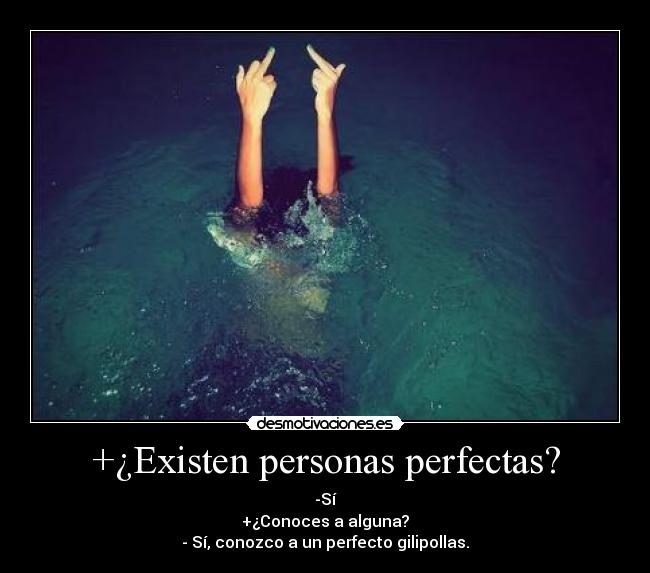 +¿Existen personas perfectas? - -Sí
+¿Conoces a alguna?
- Sí, conozco a un perfecto gilipollas.