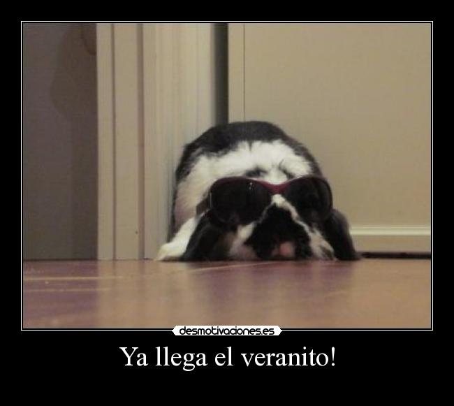 Ya llega el veranito! -