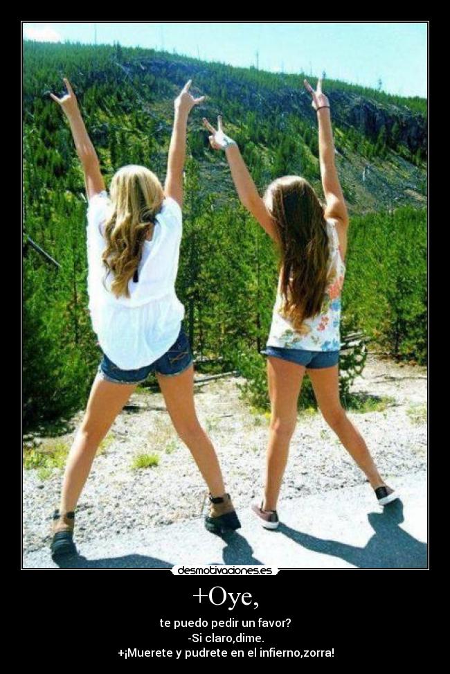 +Oye, - te puedo pedir un favor?
-Si claro,dime.
+¡Muerete y pudrete en el infierno,zorra!