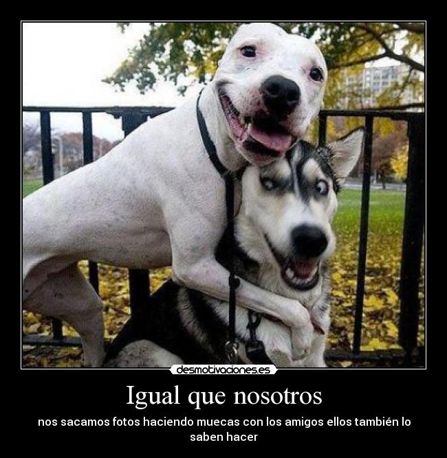 Igual que nosotros - 