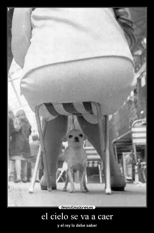 el cielo se va a caer - y el rey lo debe saber