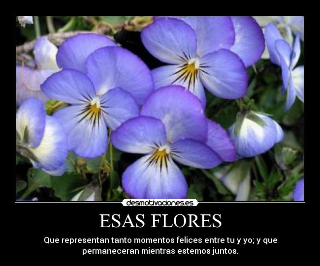 ESAS FLORES - 