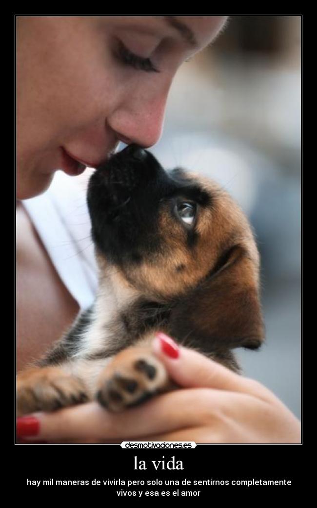 la vida - hay mil maneras de vivirla pero solo una de sentirnos completamente
vivos y esa es el amor