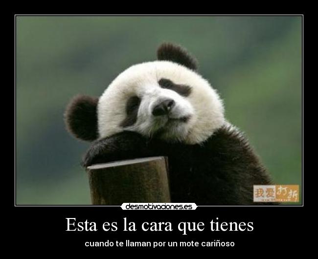 Esta es la cara que tienes - cuando te llaman por un mote cariñoso