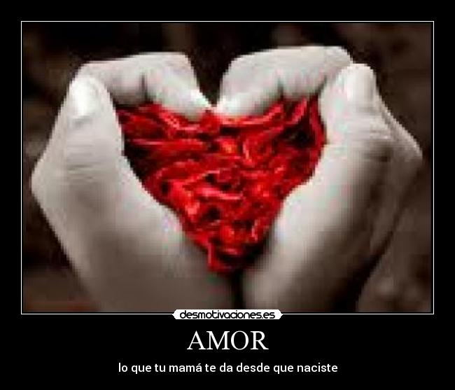 AMOR - lo que tu mamá te da desde que naciste