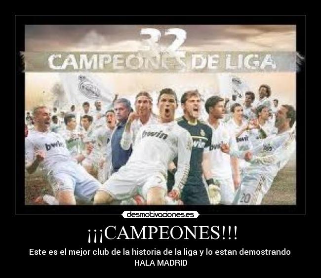 carteles campeones desmotivaciones