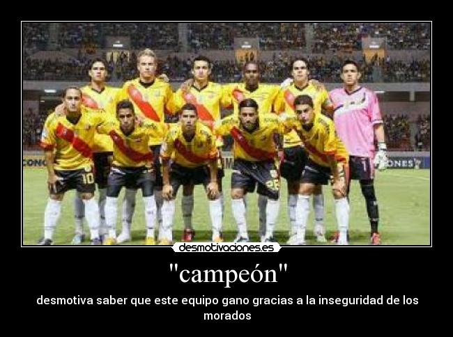 carteles perras campeones desmotivaciones