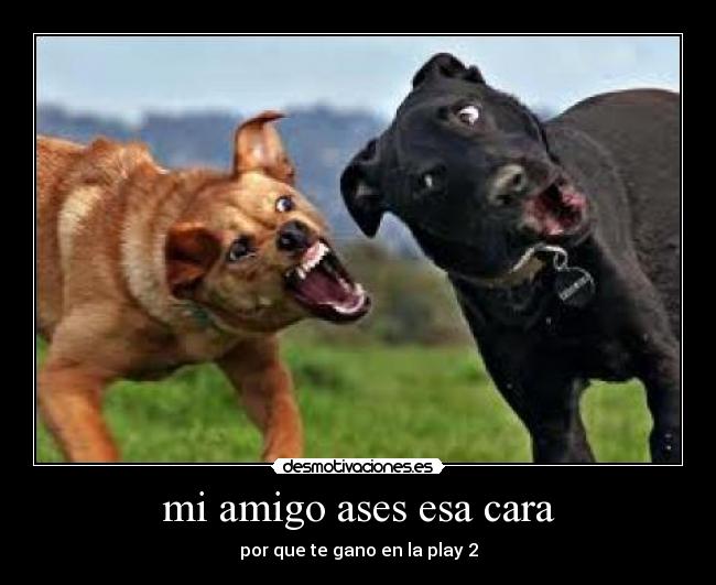 mi amigo ases esa cara - por que te gano en la play 2