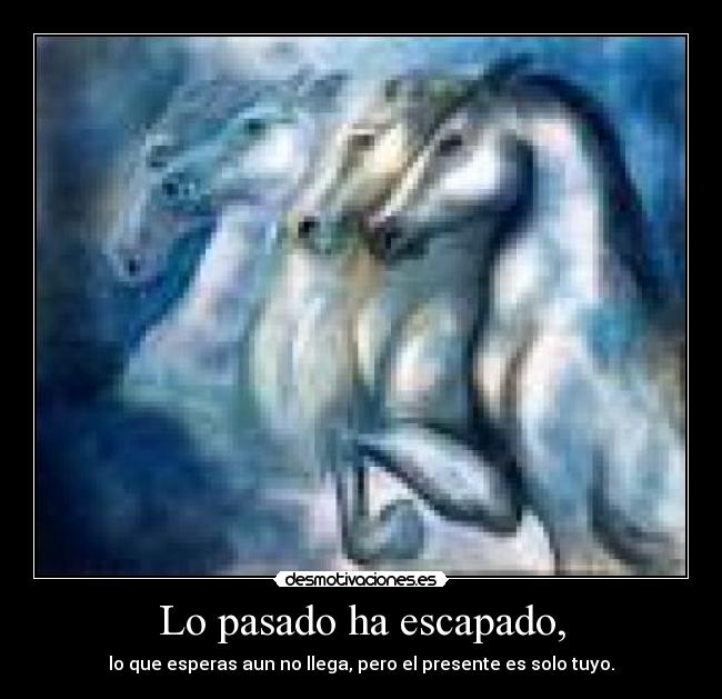 carteles pasado titi desmotivaciones