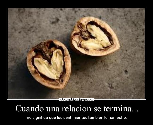 Cuando una relacion se termina... - no significa que los sentimientos tambien lo han echo.