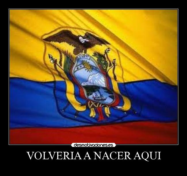 carteles roberth desmotivaciones