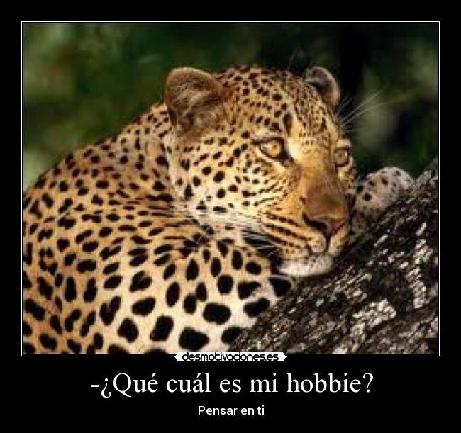 -¿Qué cuál es mi hobbie? - 