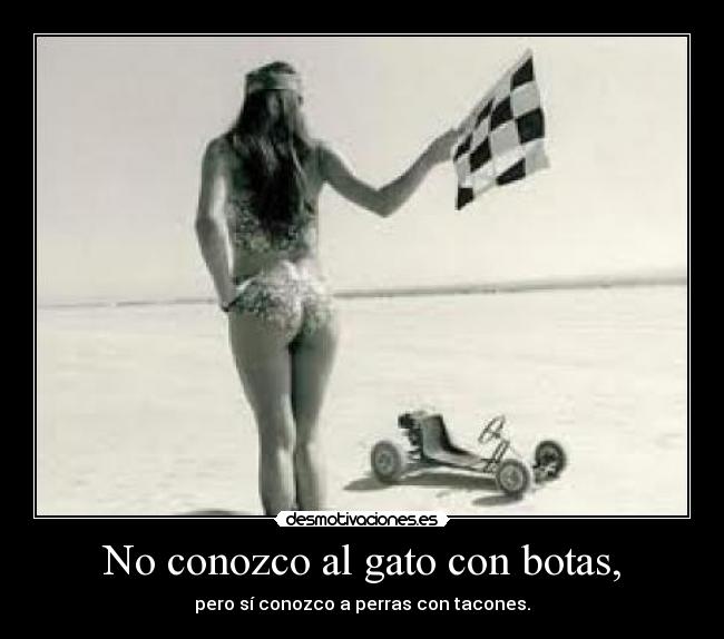 No conozco al gato con botas, - pero sí conozco a perras con tacones.