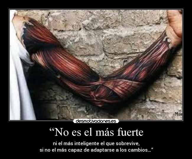 “No es el más fuerte - 