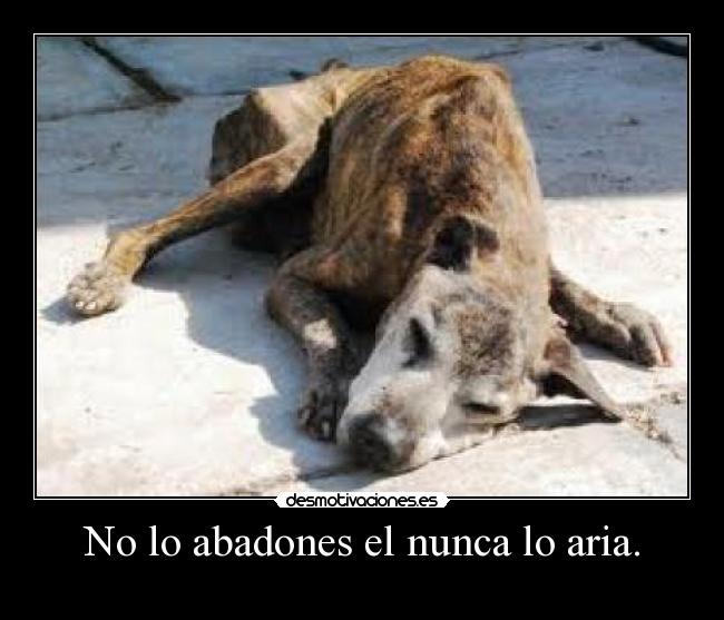 No lo abadones el nunca lo aria. - 