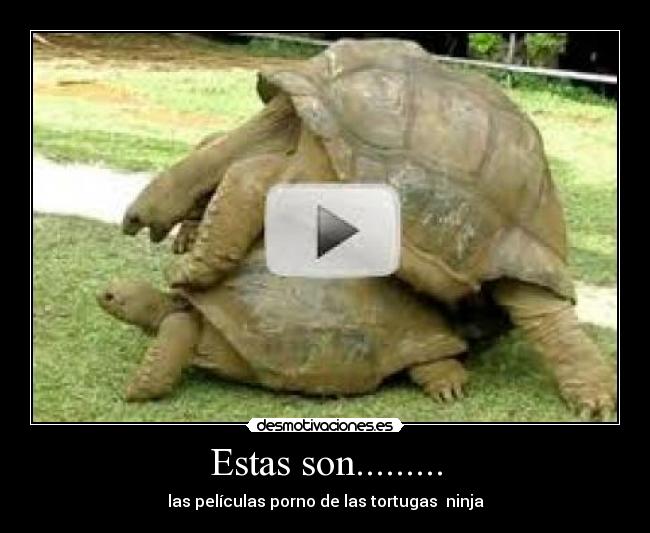 Estas son......... -