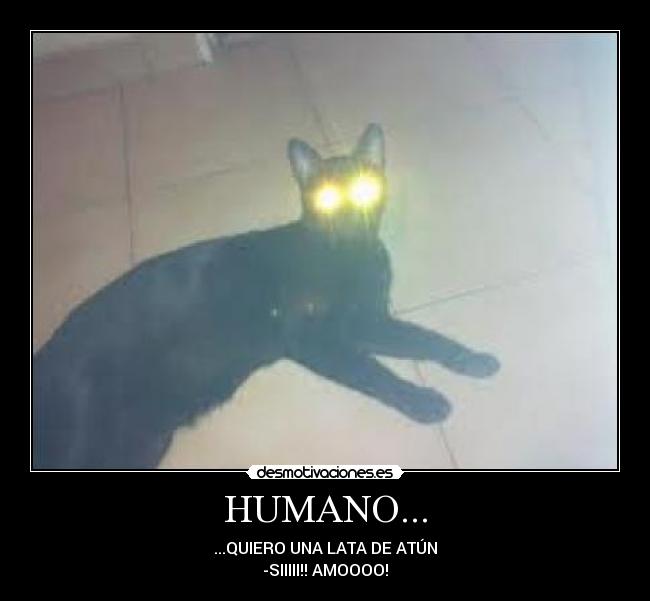HUMANO... - ...QUIERO UNA LATA DE ATÚN
-SIIIII!! AMOOOO!