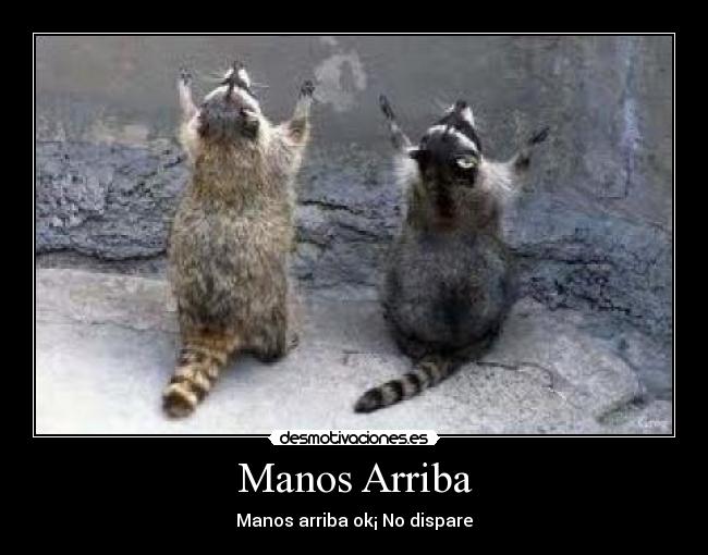 Manos Arriba - 