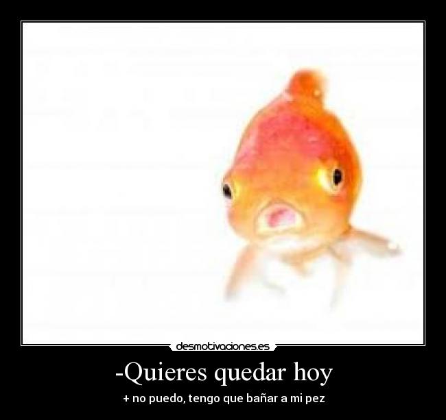 -Quieres quedar hoy -