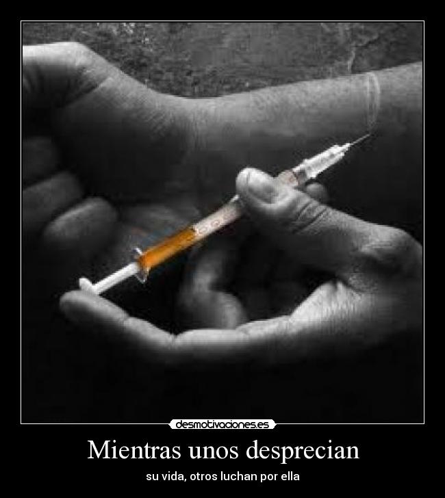 Mientras unos desprecian -