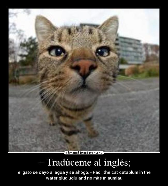 + Tradúceme al inglés; - el gato se cayó al agua y se ahogó. - Fàcil;the cat cataplum in the
water glugluglu and no màs miaumiau